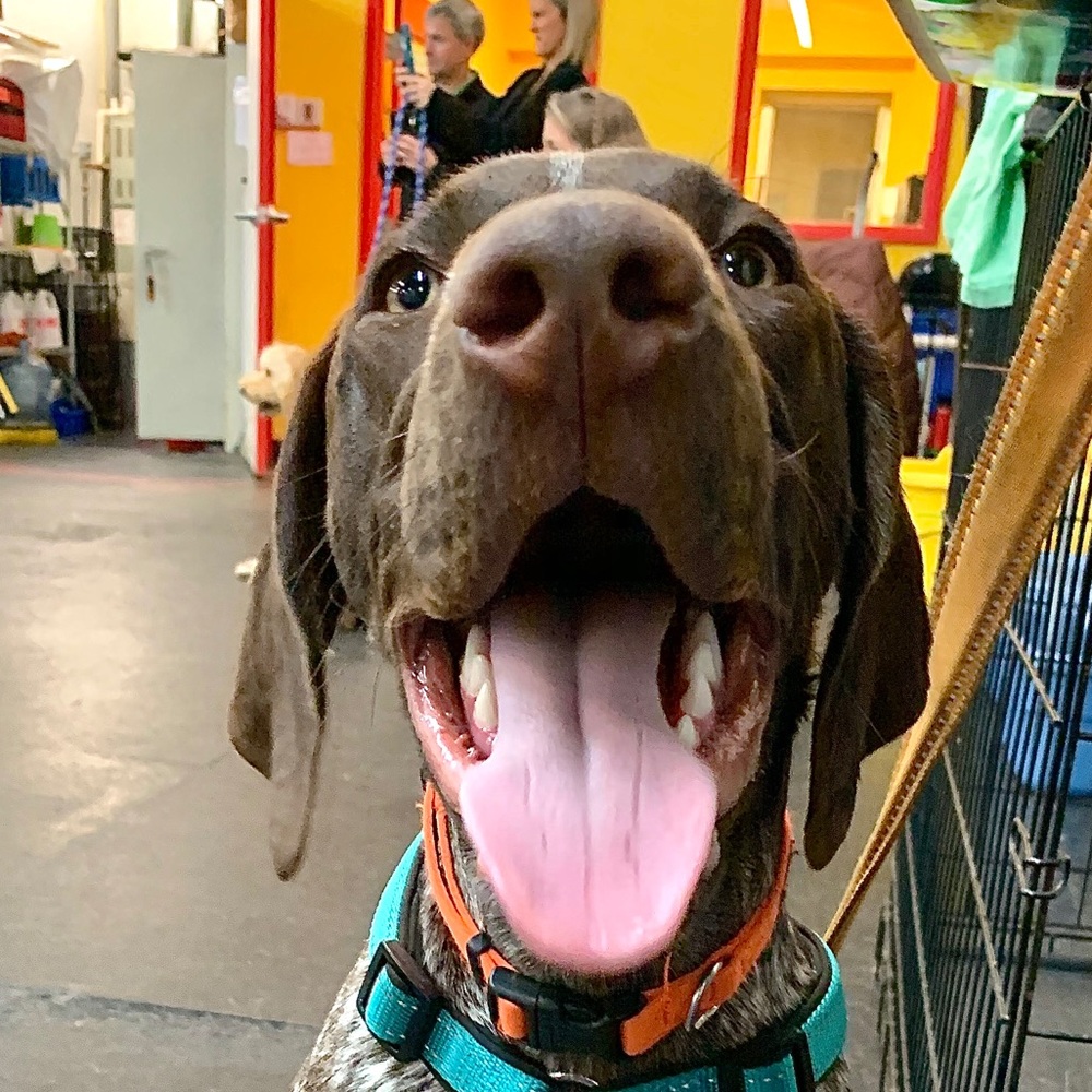 Meet your Posher, Skyler